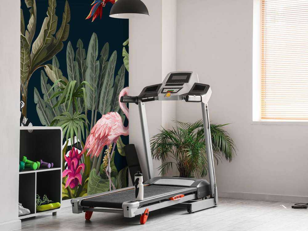 Gekleurde jungle dieren
