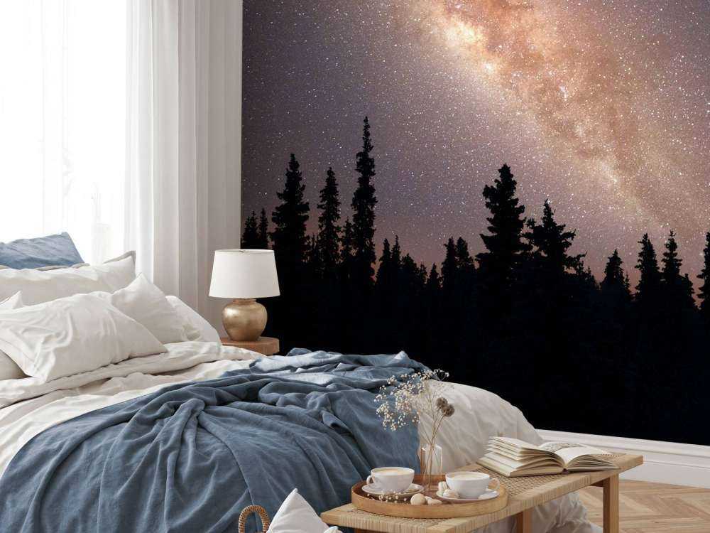 Melkweg boven silhouet van bomen