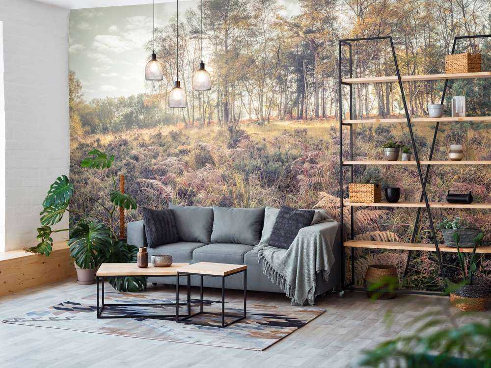 Bos tijdens de ochtend