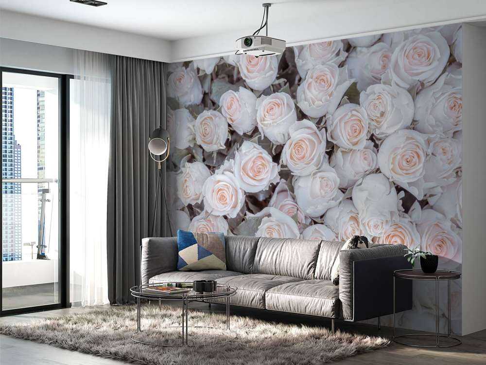 Licht gekleurde rozen