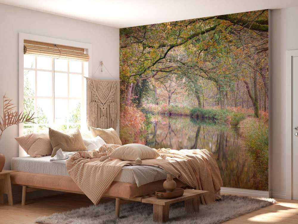 overdekt kleurrijk bos