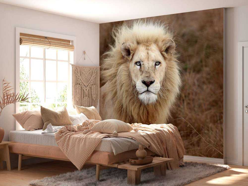 Harige Leeuw in de natuur