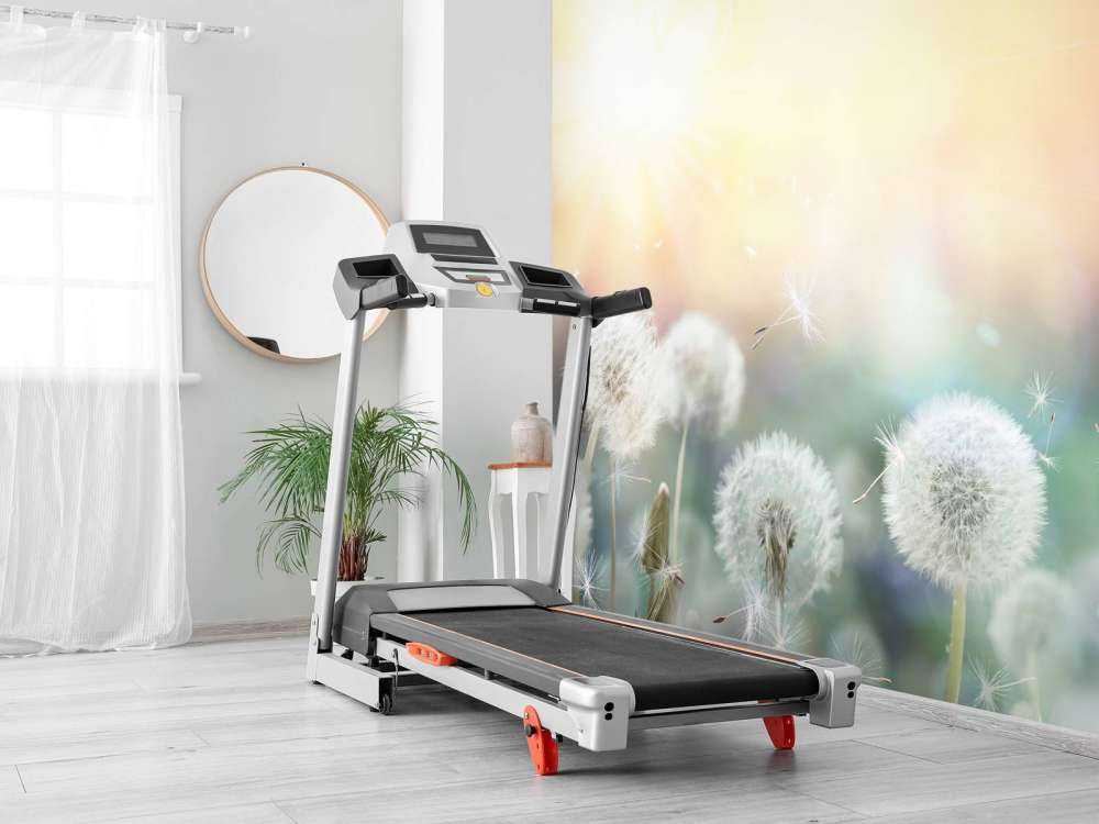 Paardebloem design met gekleurde achtergrond