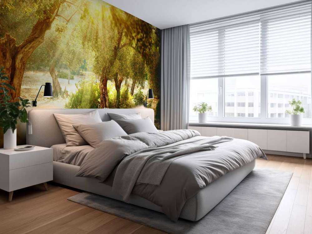 Mediterrane Olijven Boomgaard