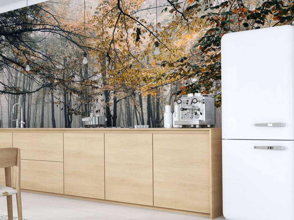 Mistig Herfst Bos met veel Bomen