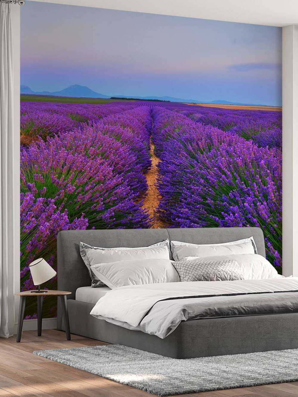 Lavendel landschap met bergen