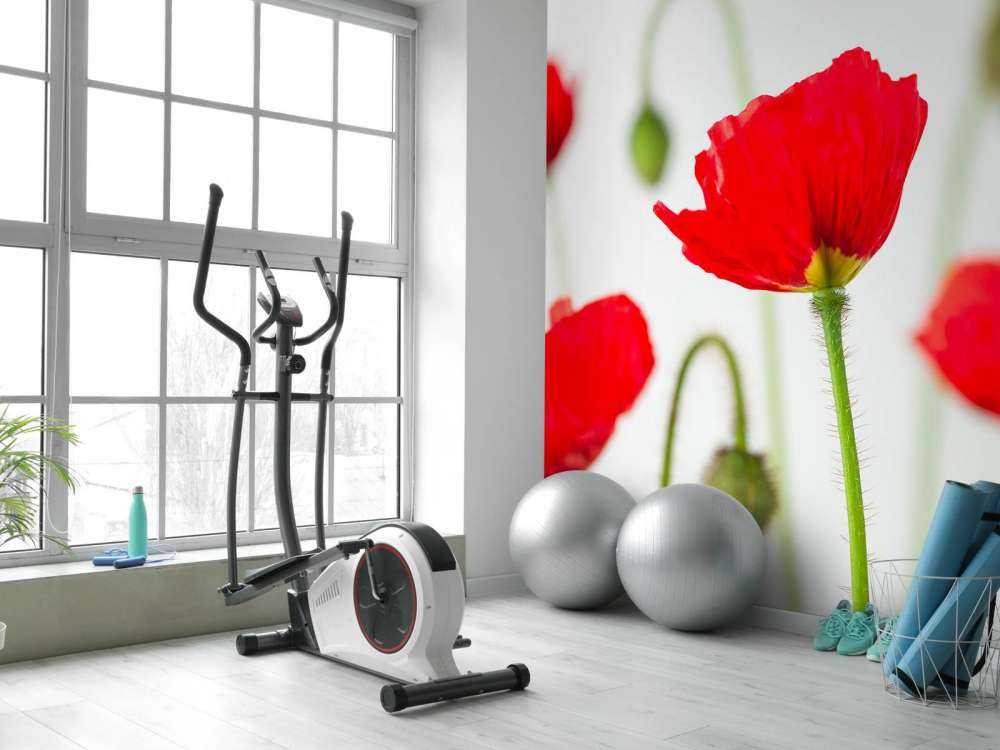 Close-up rode klaprozen