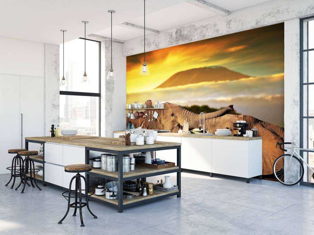 Olifanten spelen bij zonsondergang