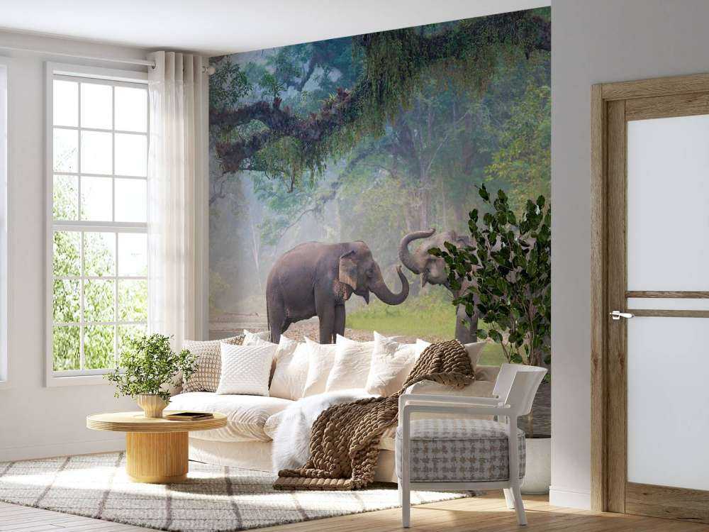 Aziatische olifanten in een rivier