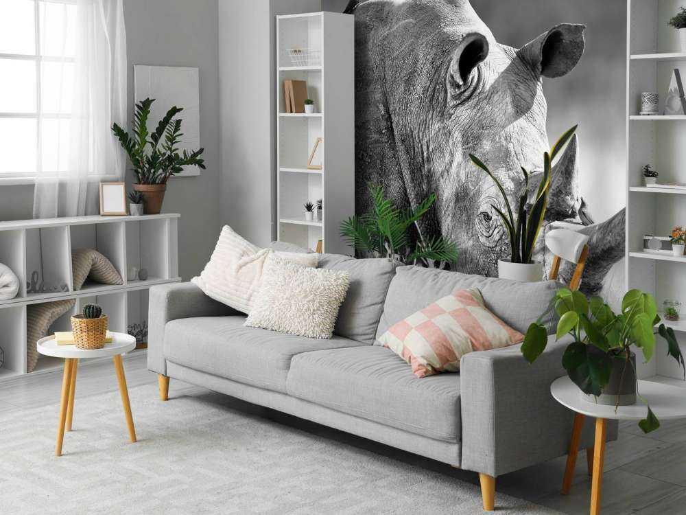 Neushoorn in zwart-wit