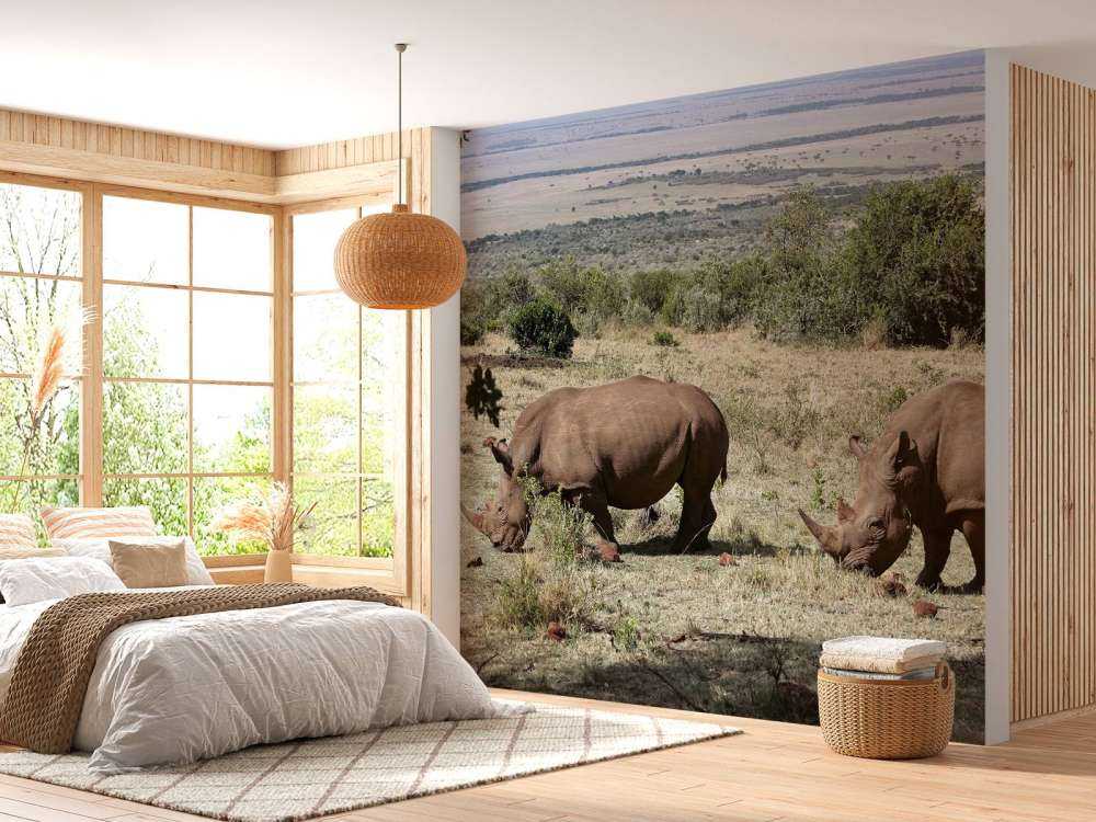 Grazende witte neushoorns