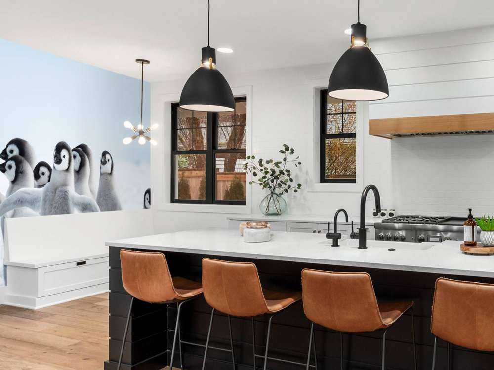 Keizerspinguïns in de sneeuw