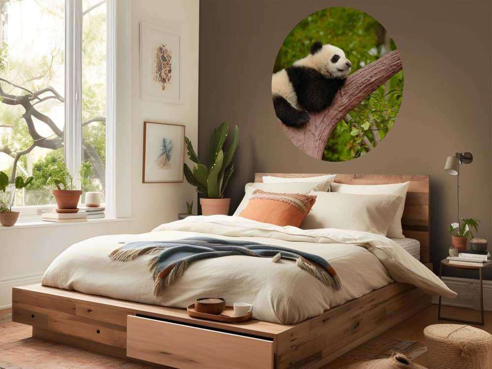 Slapende panda in een boom