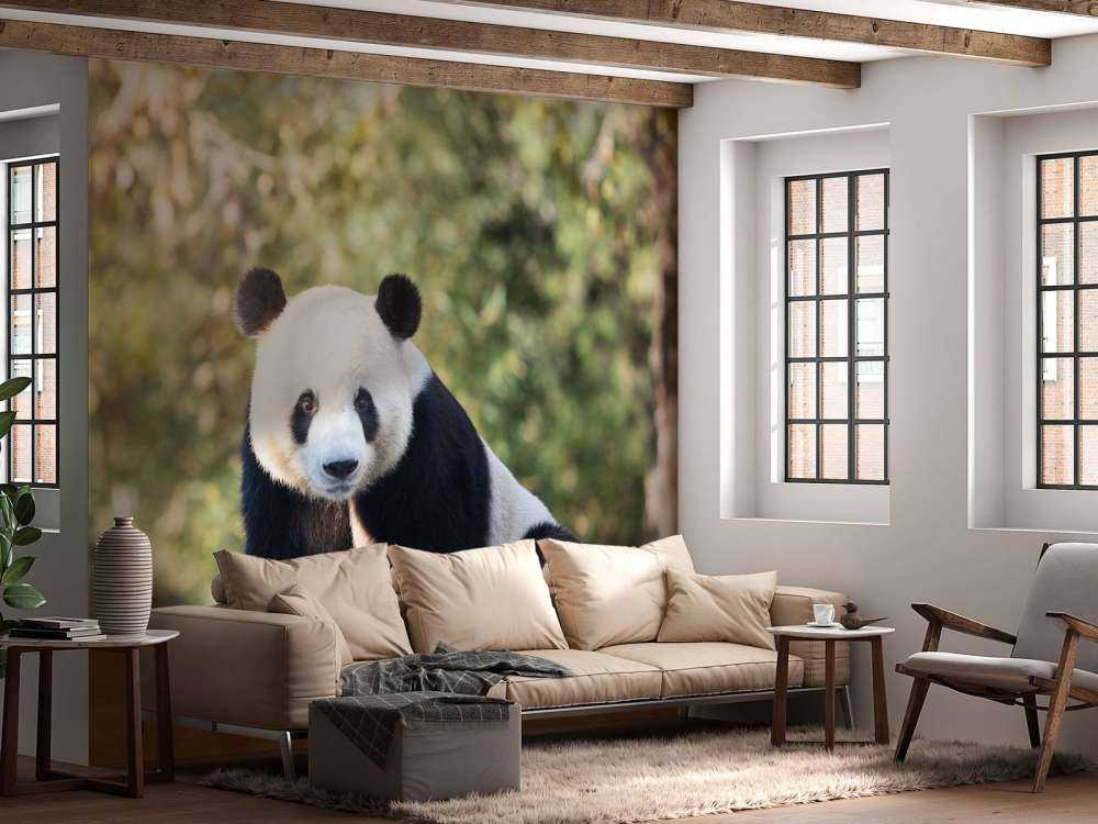Panda op een houten balk