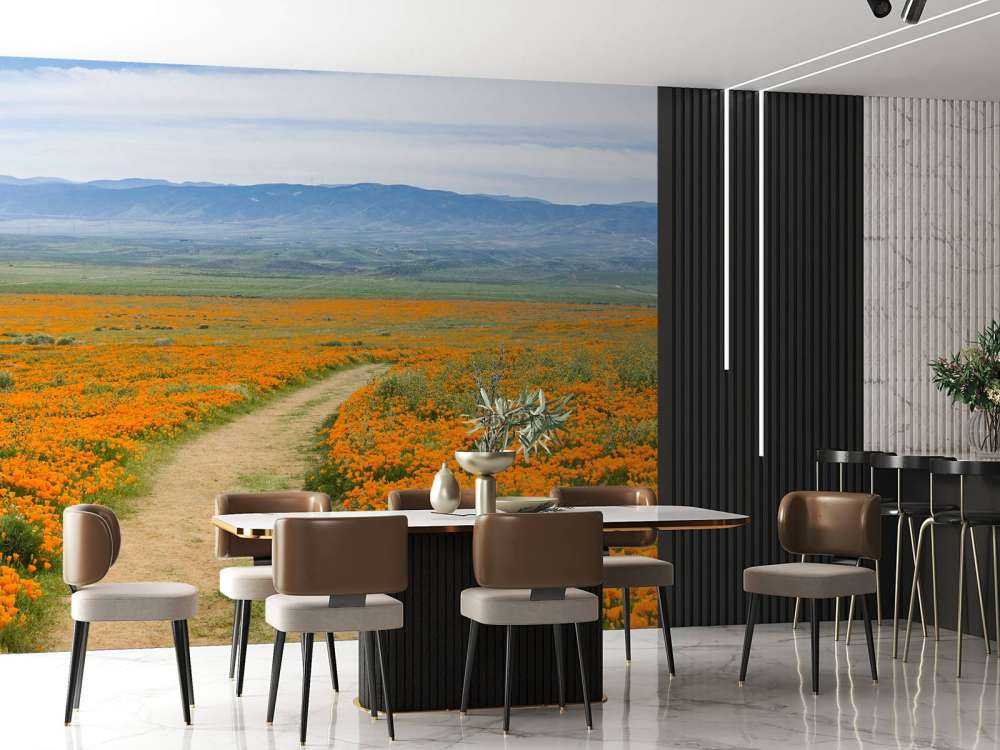 Oranje klaprozenveld in Californië