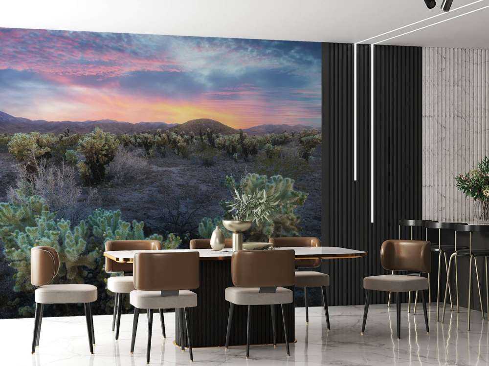 Cactusveld bij zonsondergang