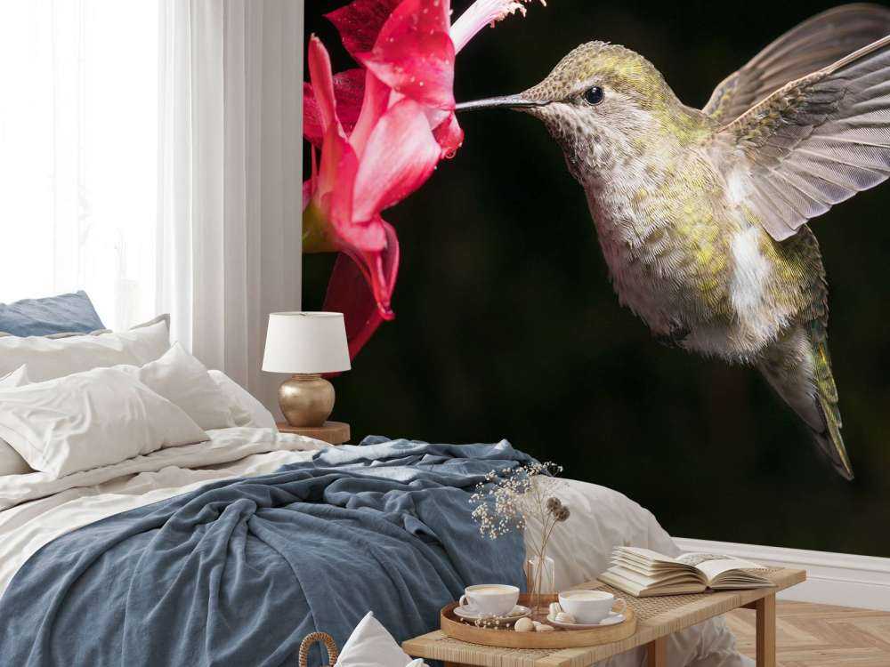 Kolibrie met rode bloem