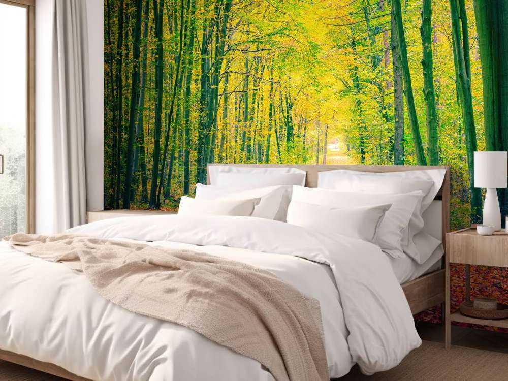 Een bosweg in de herfst