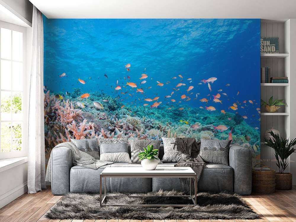 Koraalrif met kleine visjes