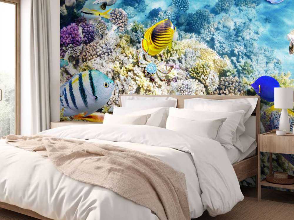 Exotische vissen en koralen