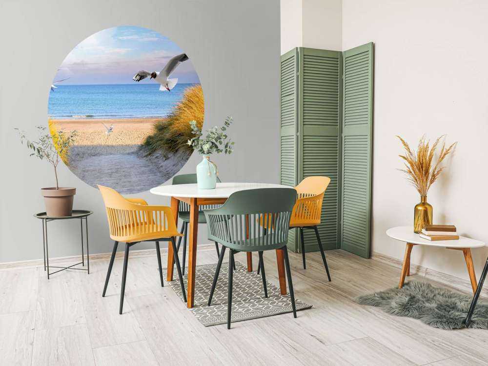 Meeuwen langs de Baltische kust