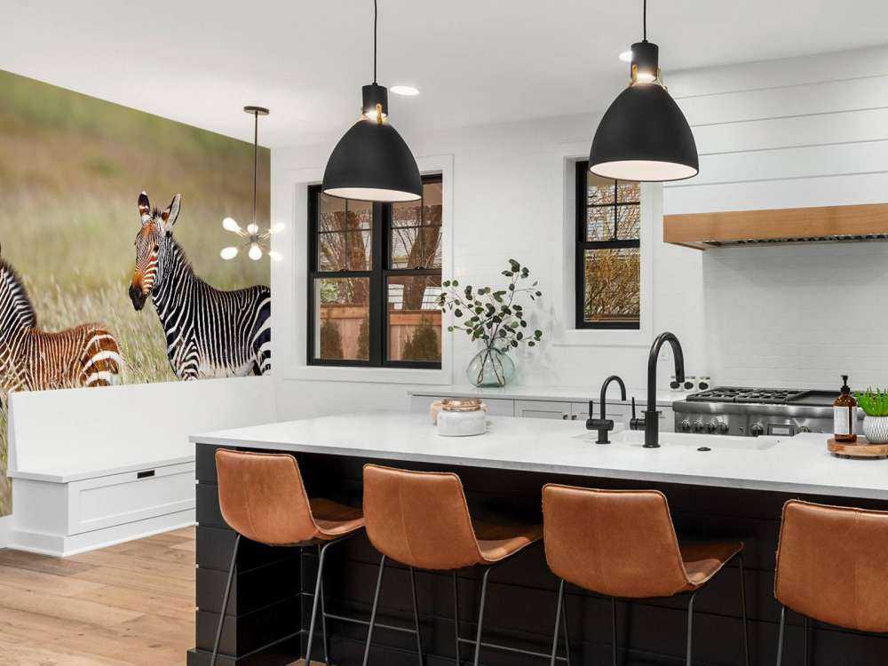 Kaapse bergzebra met een veulentje