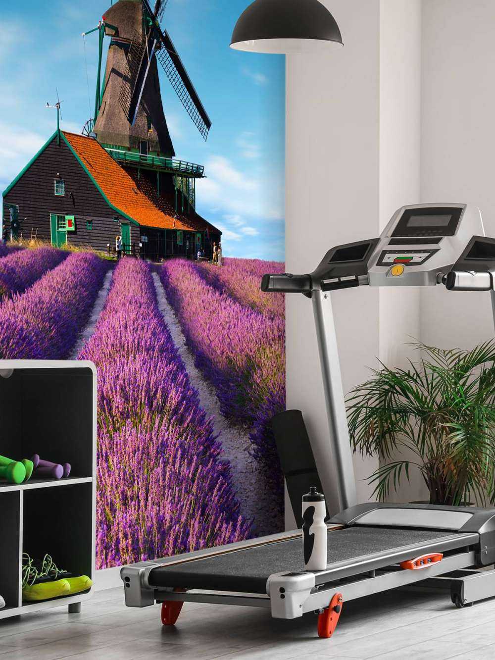 Lavendel veld met Windmolen op Achtergrond