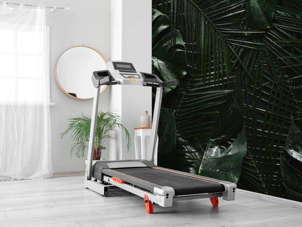 Donkergroene Tropische Bladeren