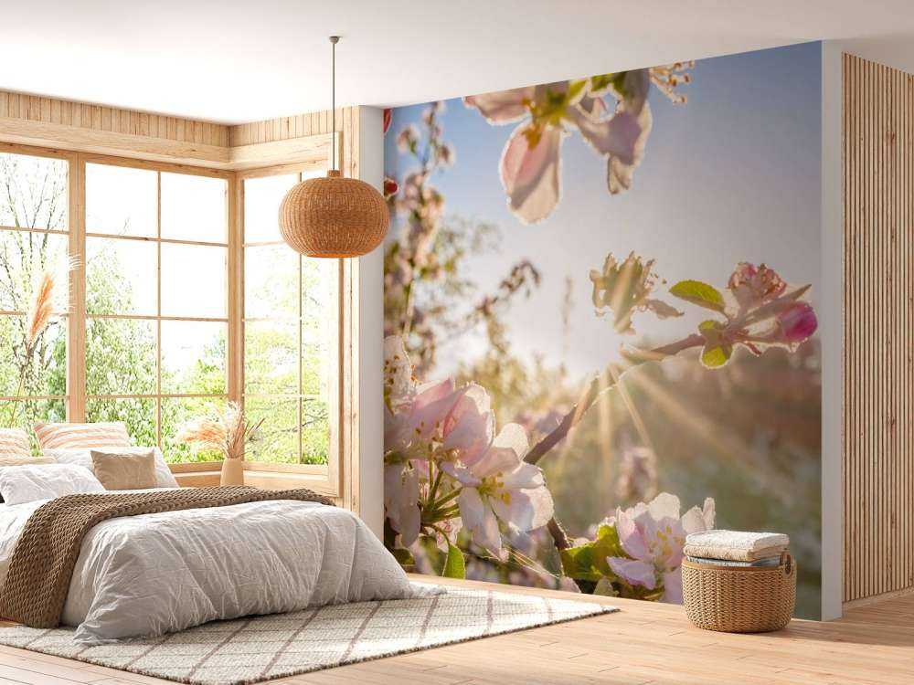 Felle Zon achter Bloesem takjes