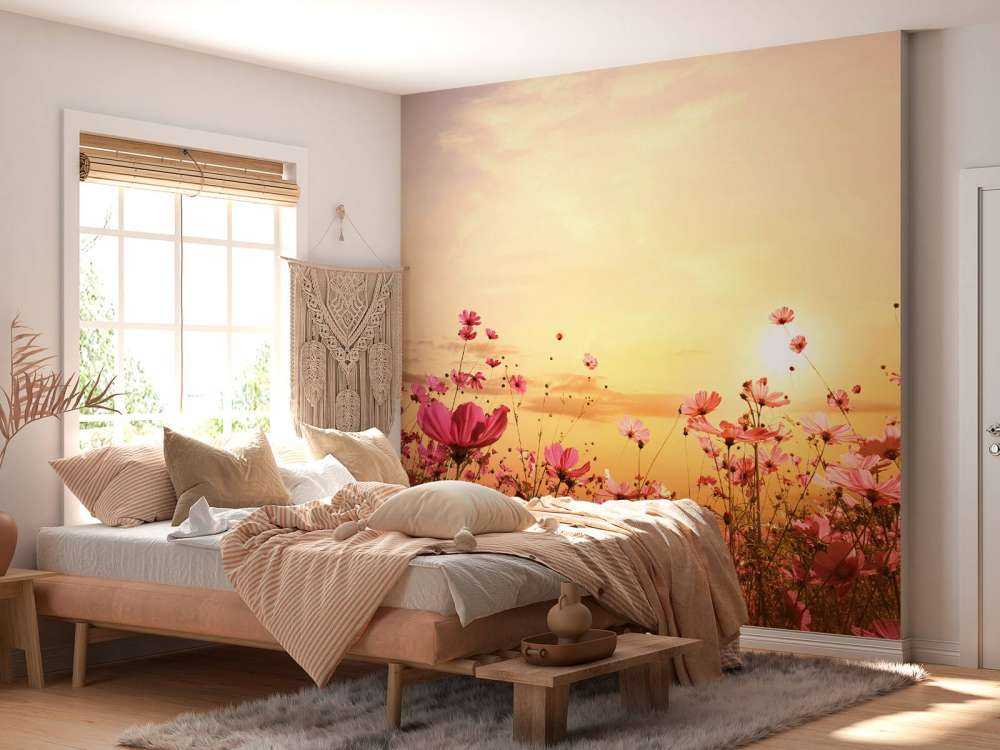 Kosmos Bloem tijdens Zonsondergang