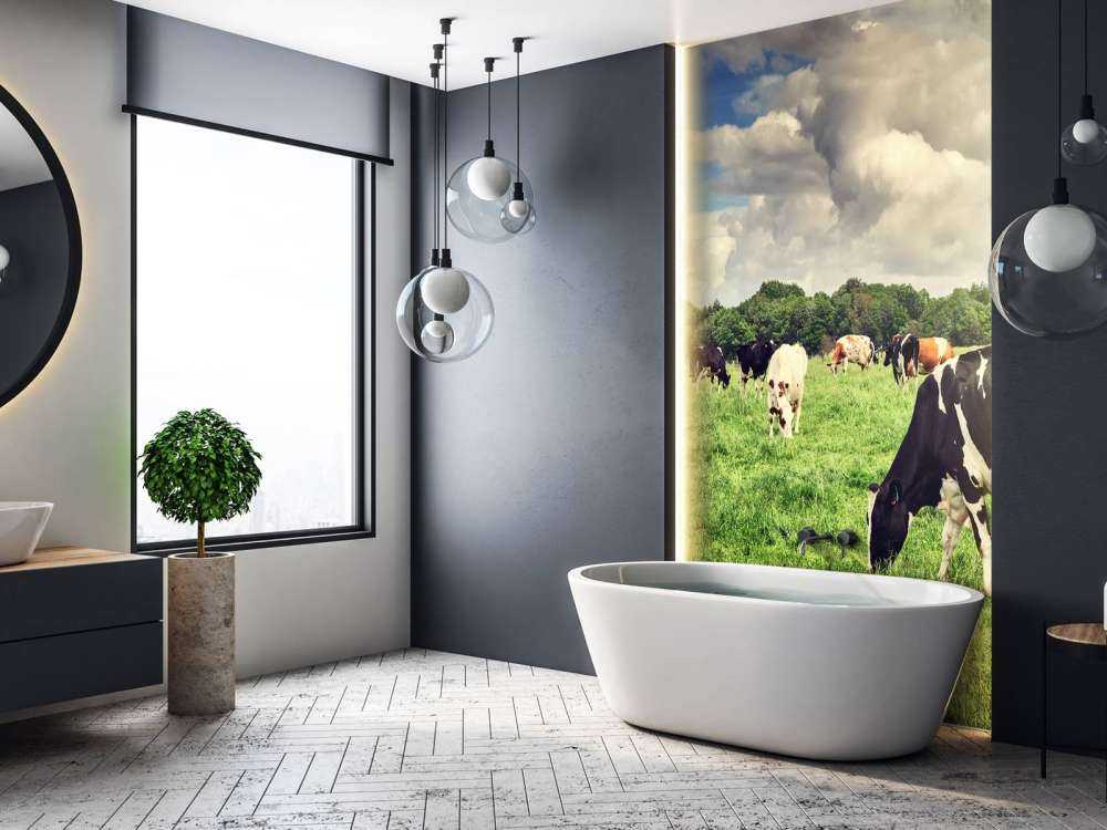 Koeien grazen in weide