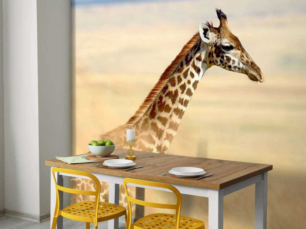 Giraffe in Nationaal Park van Kenia