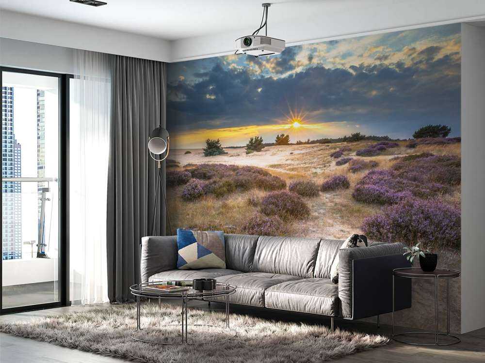 Zonsopkomst op de Veluwe