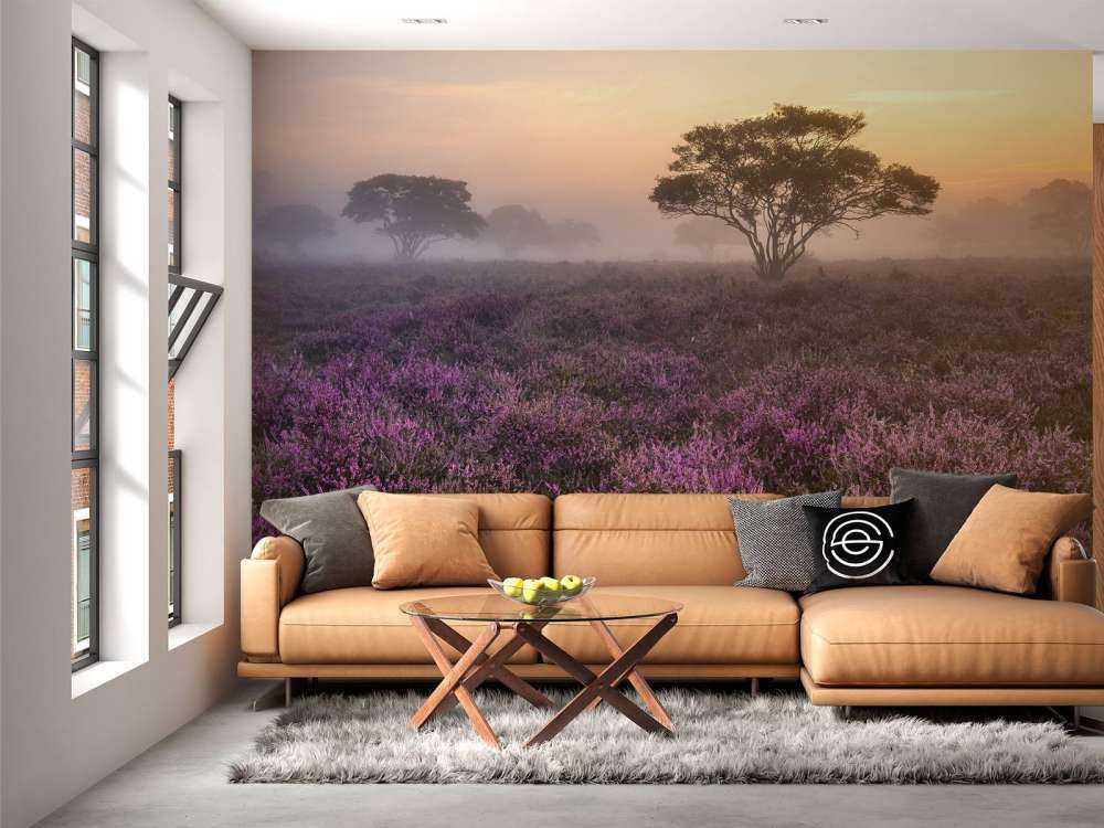 De Veluwe in de vroege ochtend