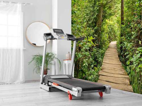 Houten pad door het groen