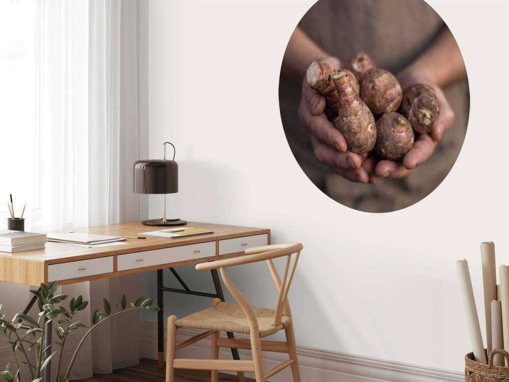 Aardproducten