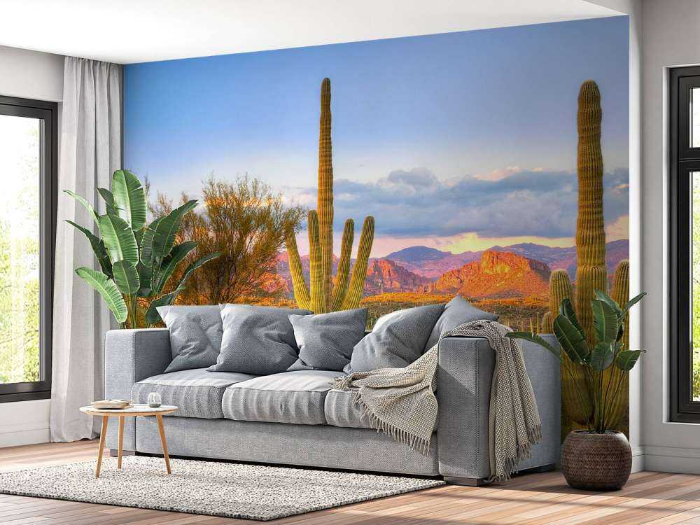 Zonsondergang in een steppe