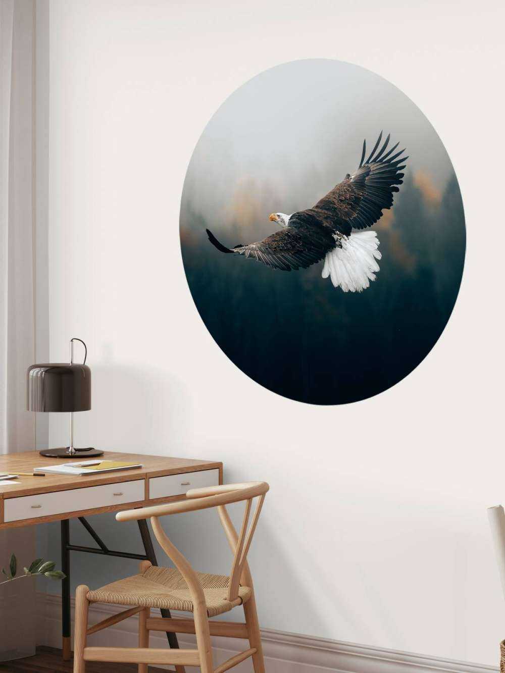 Zeearend boven het bos