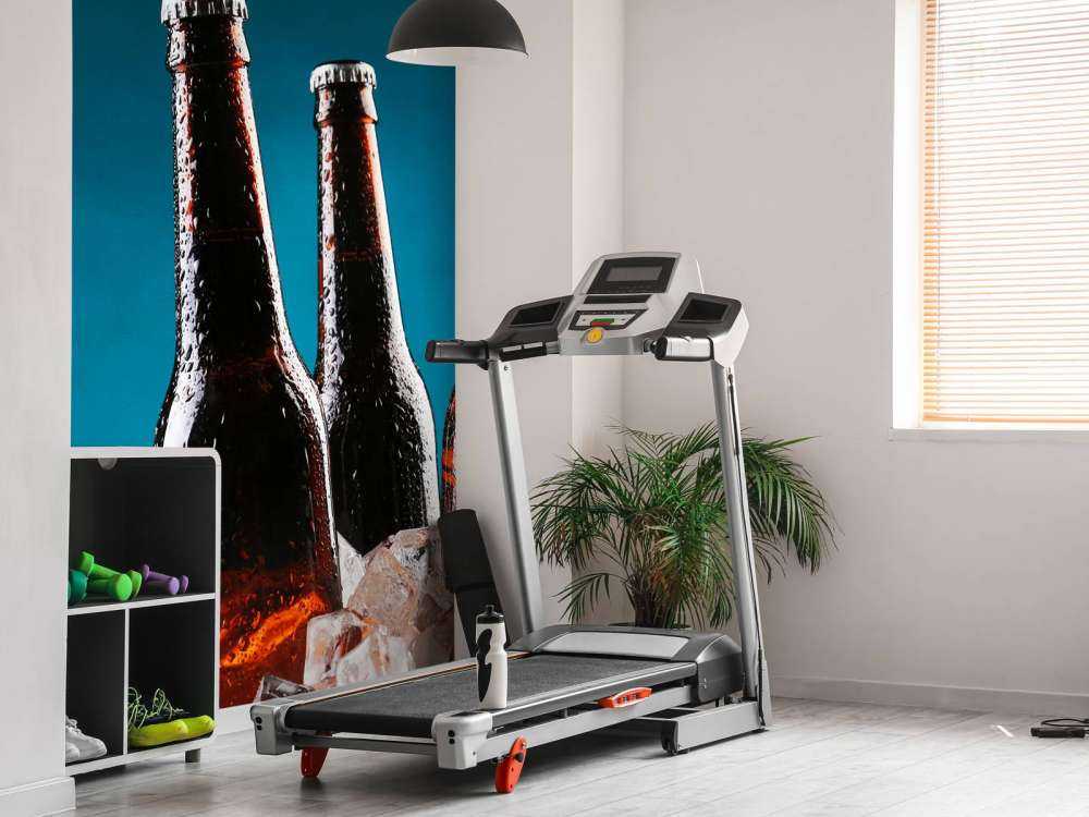 Bruine bierflesjes in ijs