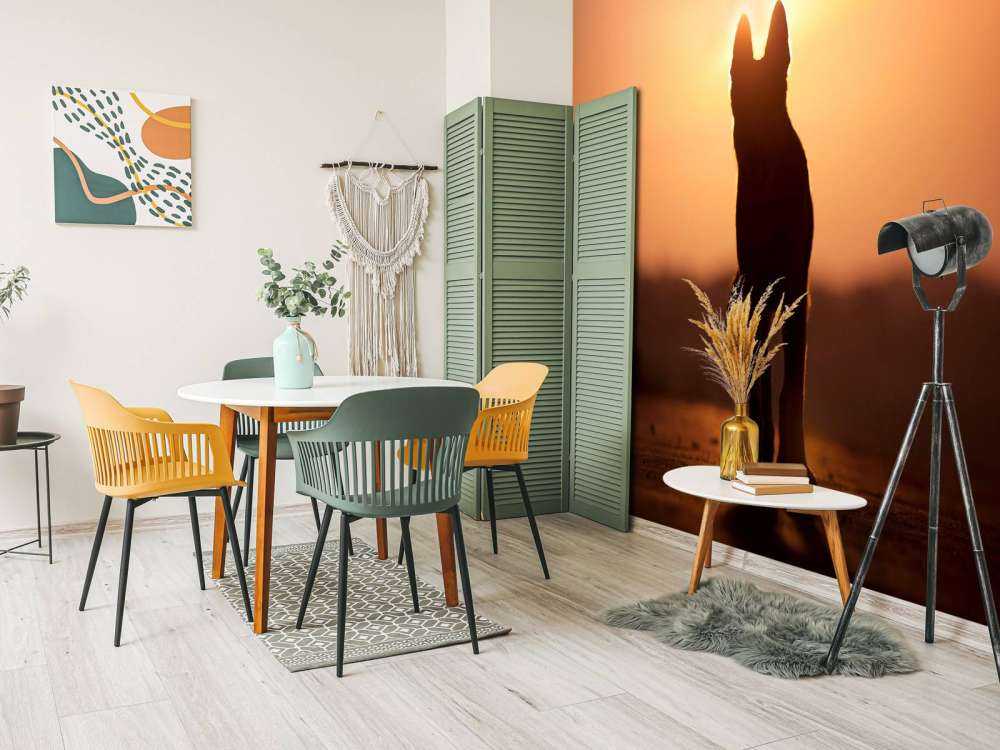 Hond bij zonsondergang