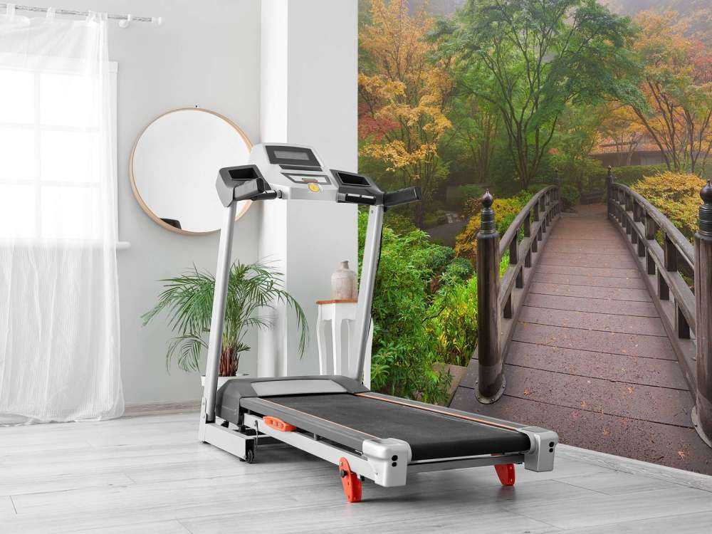 Houten brug in een Japanse tuin