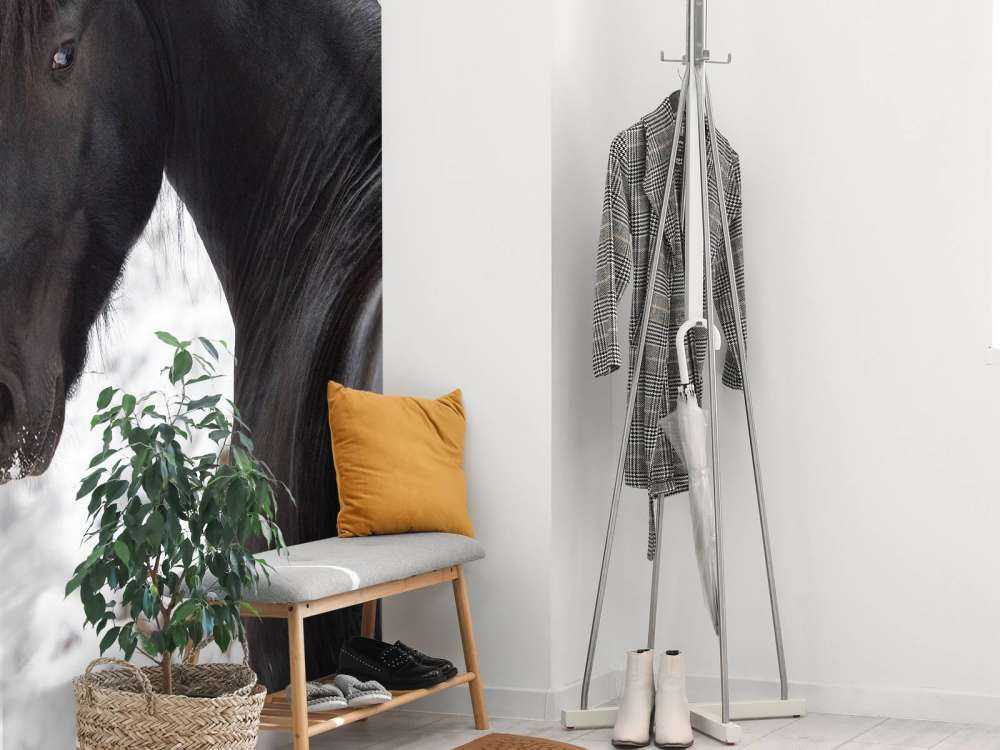 Fries Paard in de sneeuw