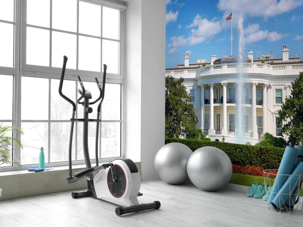 Het Witte Huis in Washington