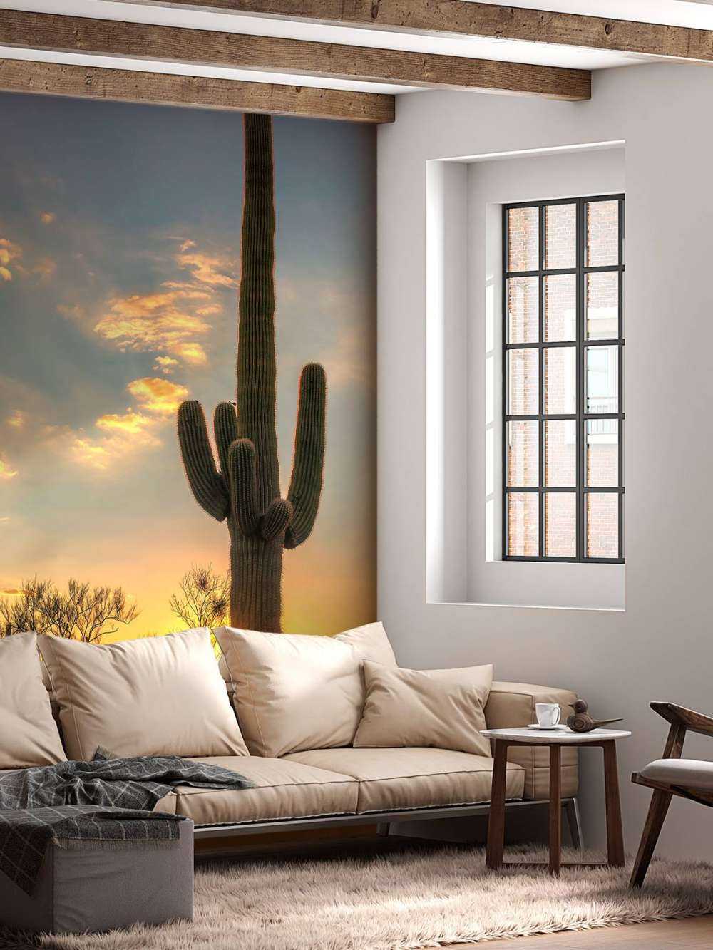 Cactus met zonsondergang