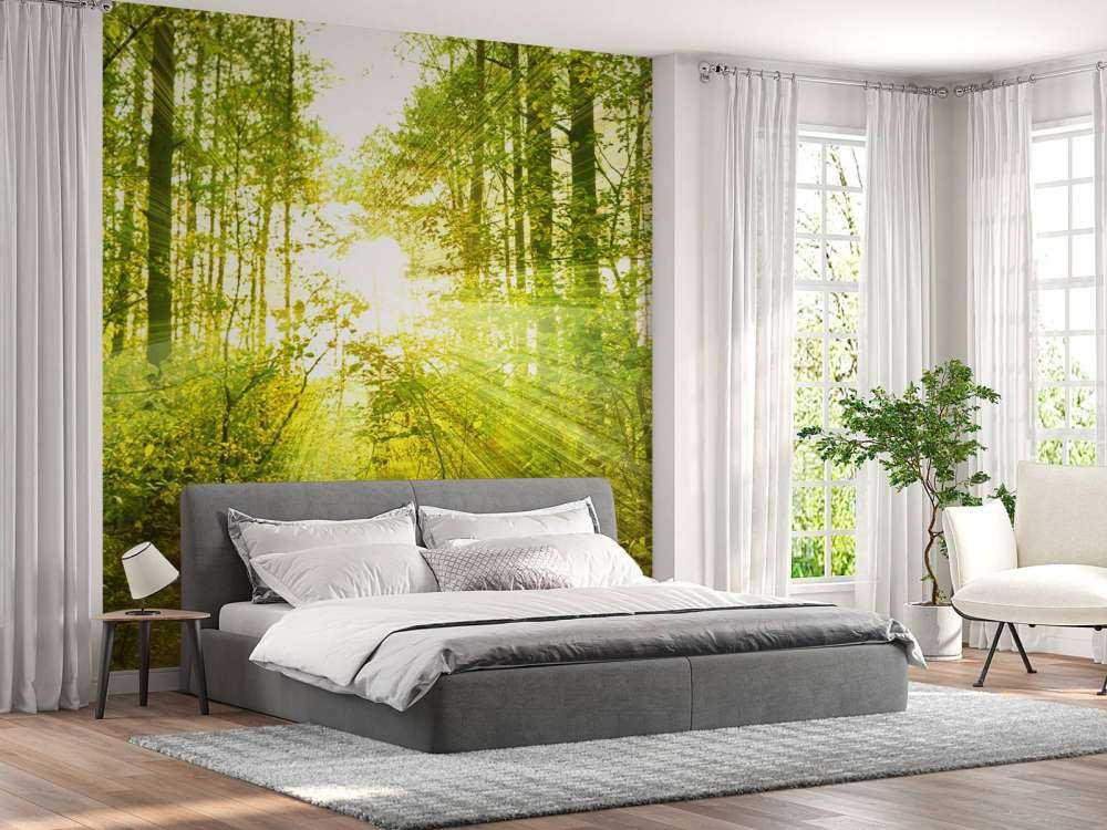 Zonnestralen in een groen bos