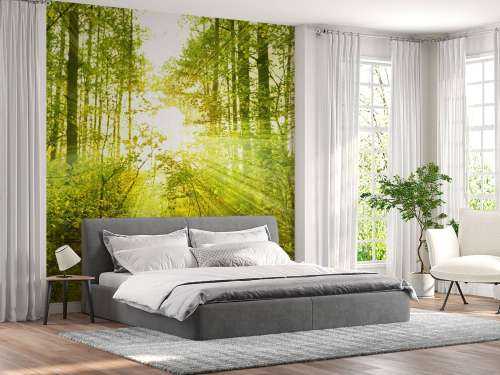 Zonnestralen in een groen bos
