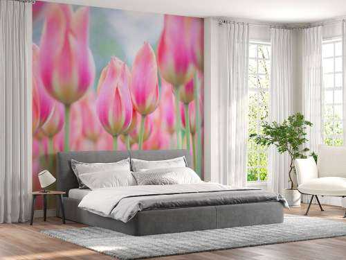 Close-up roze tulpen