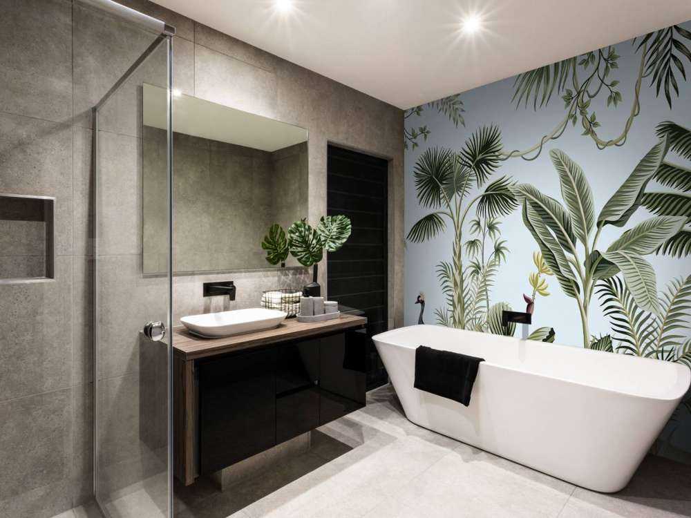 Tropische kraanvogels