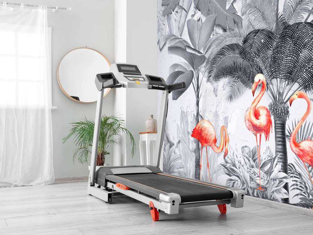 Jungle met flamingo's