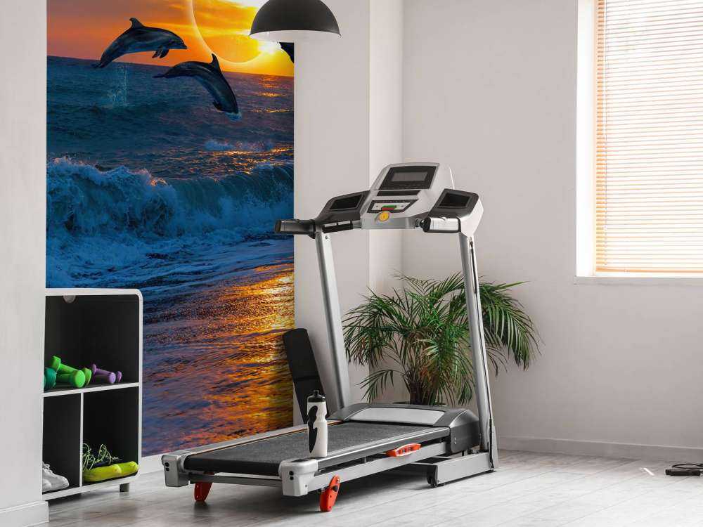 Dolfijnen met zonsondergang